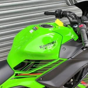 2024 Kawasaki Ninja 650 in KRT Green - Image 8