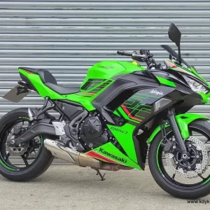 2024 Kawasaki Ninja 650 in KRT Green