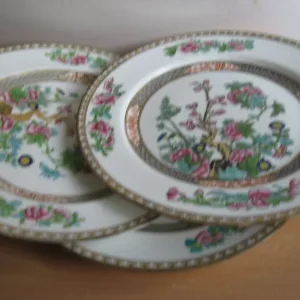 Coalport India Tree dinner plates