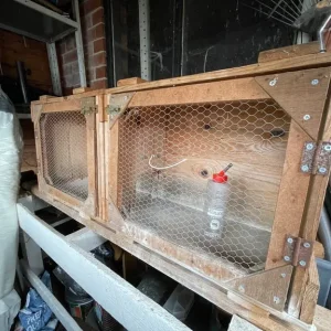 Guinea pig and dwarf rabbit hutch - Image 2