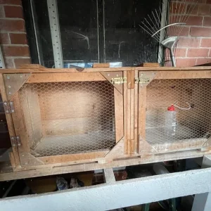 Guinea pig and dwarf rabbit hutch