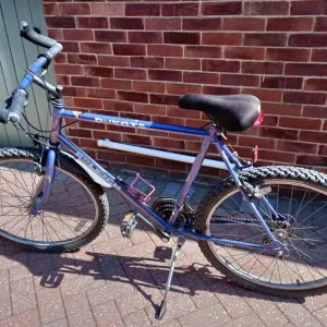 Raleigh Dakota mountain bike - Image 3