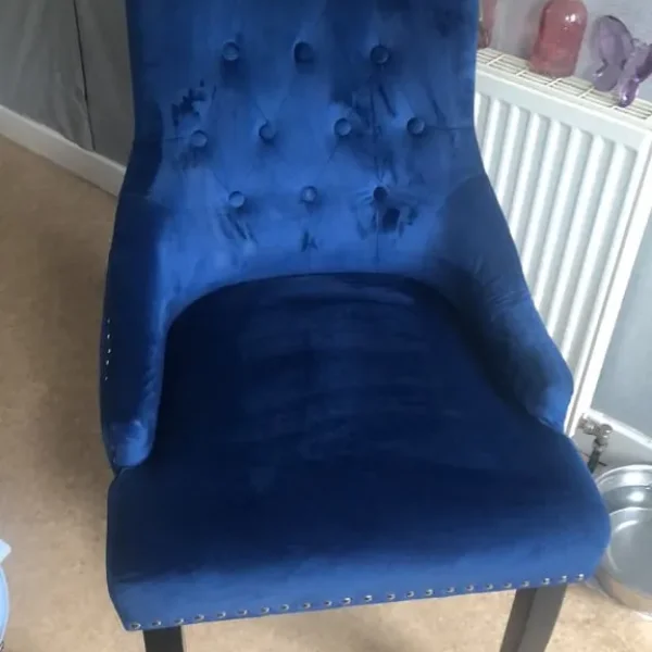 Blue velvet chairs