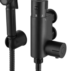 Black Concealed Thermostatic Shower