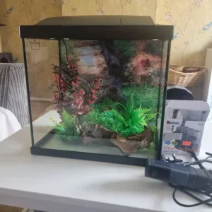 Small aquarium with everything you need - Image 4