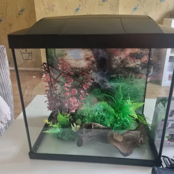 Small aquarium with everything you need