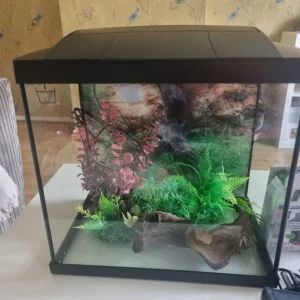 Small aquarium with everything you need