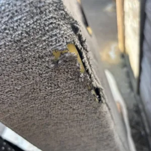 Nabru 3 seater sofa - Image 7