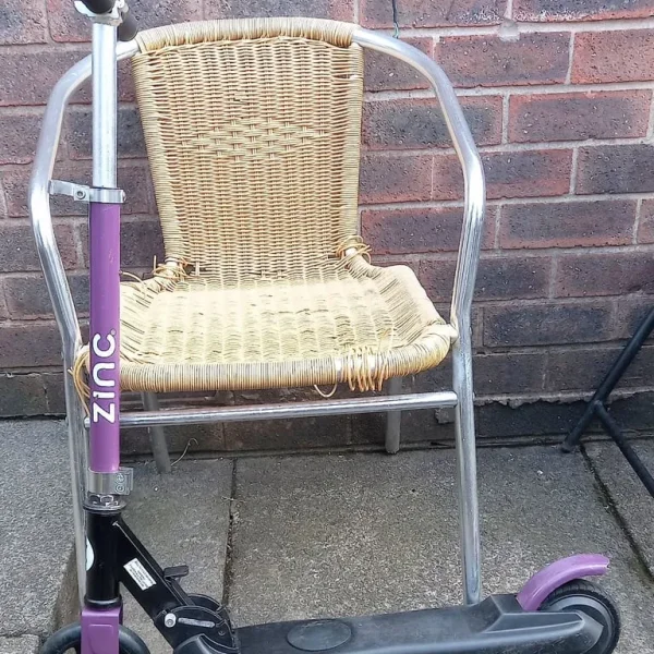 1 X Electric Scooter