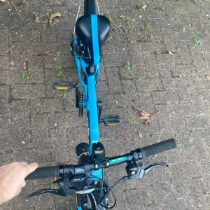 TEAM SKY BLUE FROG 52 CHILDREN'S FROG BIKE - Image 5