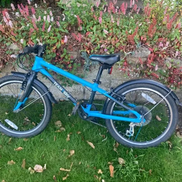 TEAM SKY BLUE FROG 52 CHILDREN'S FROG BIKE