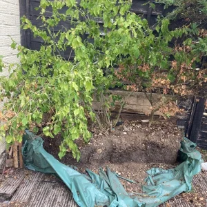 FREE Garden Plants