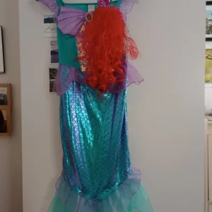 Dressing up costumes - Image 4