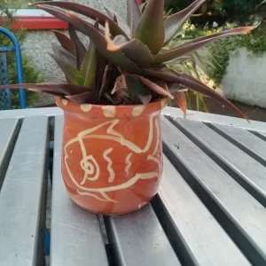 Aloe Vera in decorative fish-style ceramic pot - Image 2