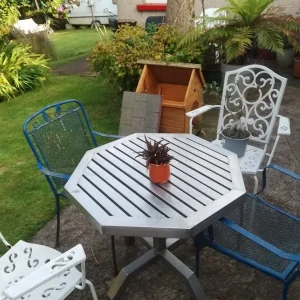 Aloe Vera in decorative fish-style ceramic pot - Image 4