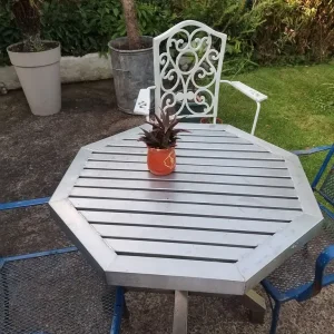 Aloe Vera in decorative fish-style ceramic pot - Image 5