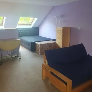 Spacious Master Room with En Suite Bathroom - Image 4