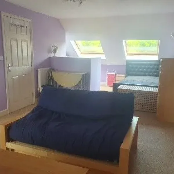 Spacious Master Room with En Suite Bathroom