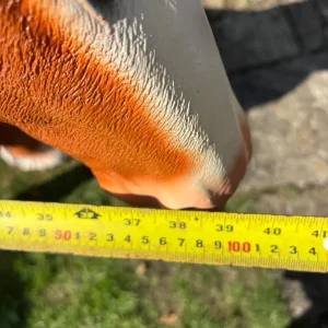 Resin Horse Statue - Image 6