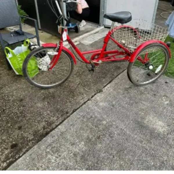 Adult trike