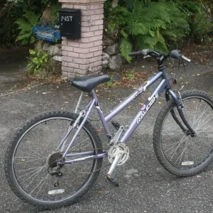 LADIES MOUNTAIN BIKE, RALEIGH TANTRUM - Image 3