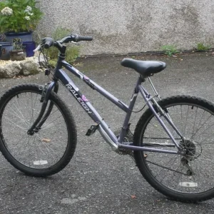 LADIES MOUNTAIN BIKE, RALEIGH TANTRUM - Image 6