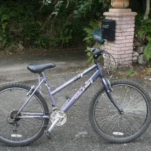 LADIES MOUNTAIN BIKE, RALEIGH TANTRUM