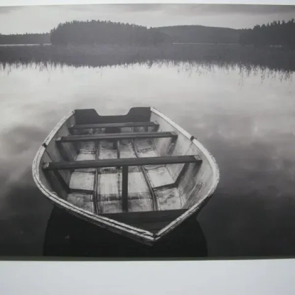 IKEA Pjatteryd canvas boat print