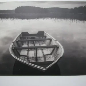 IKEA Pjatteryd canvas boat print