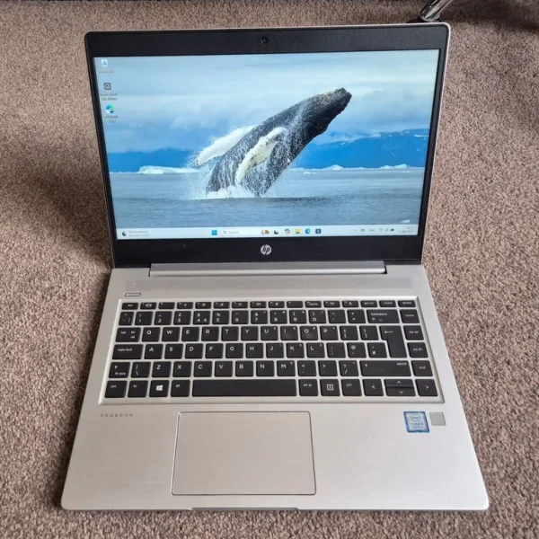HP ProBook 440 G6 16GB RAM 256GB SSD