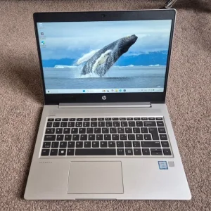 HP ProBook 440 G6 16GB RAM 256GB SSD