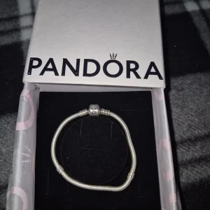 Pandora charm bracelet