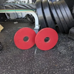 Rogue 2.5KG Change Plates
