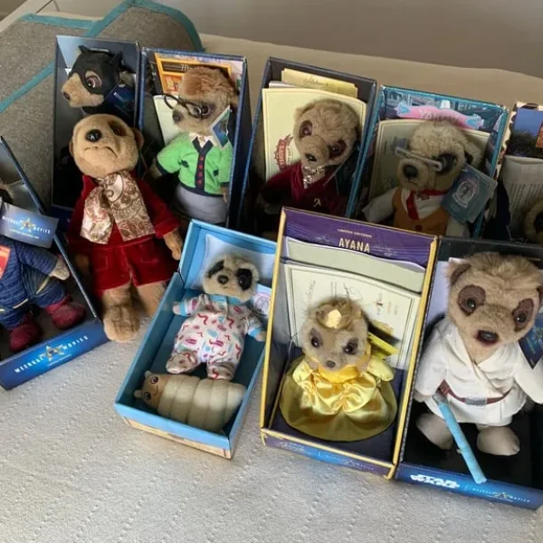 Meerkat collection