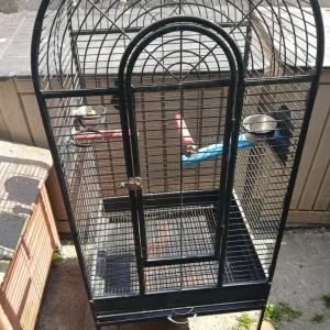 PARROTS CAGE - Image 2