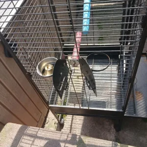 PARROTS CAGE - Image 3