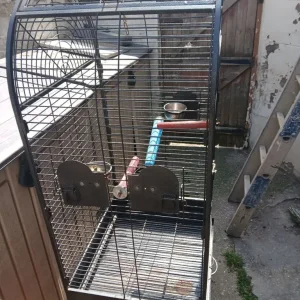PARROTS CAGE - Image 6