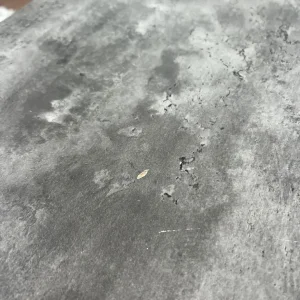 Dining Table and Bench - Image 3