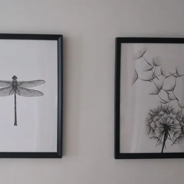2 x Framed prints