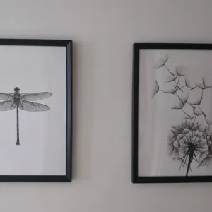 2 x Framed prints