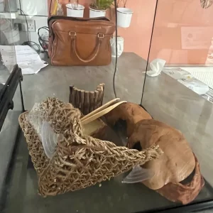 Exo Terra medium vivarium - full set up - Image 2