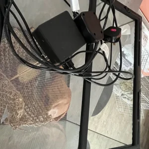 Exo Terra medium vivarium - full set up - Image 3