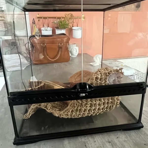 Exo Terra medium vivarium - full set up