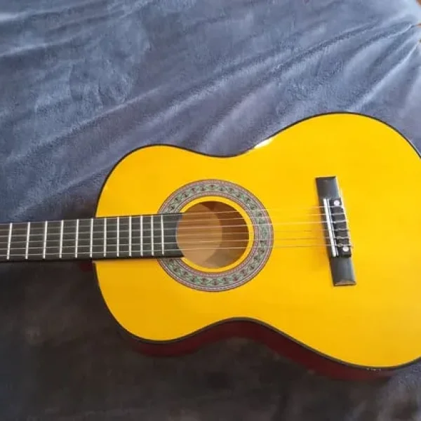 Acoustic 6-string guitar