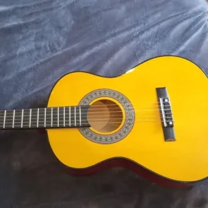 Acoustic 6-string guitar