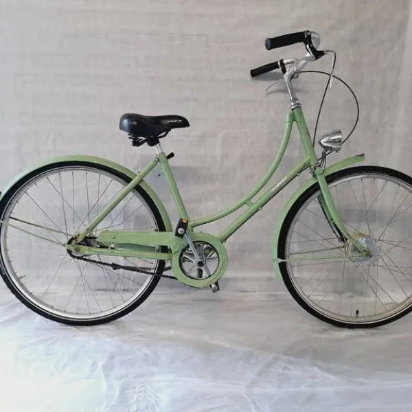 🚲 PASHLEY City Bike Green Single Speed M Frame with Dynamo – Serviced & Warranty