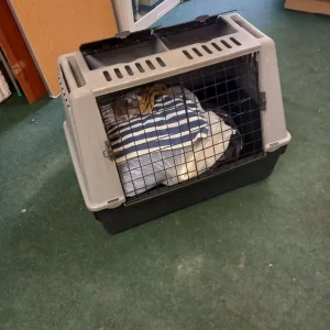 Ferplast pet carrier - Image 2