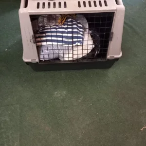 Ferplast pet carrier - Image 3