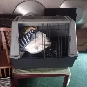 Ferplast pet carrier