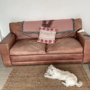 Leather sofa bed